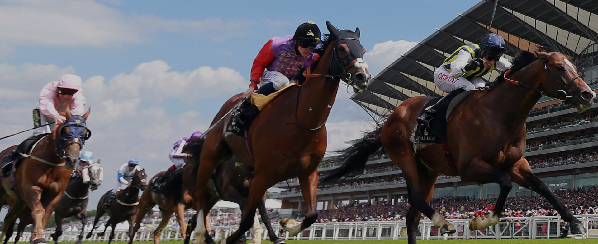 Royal Ascot Limo Hire